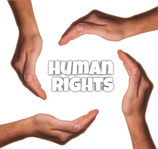 Human Rights Foundation